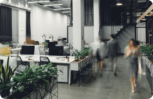Startups & freelancers